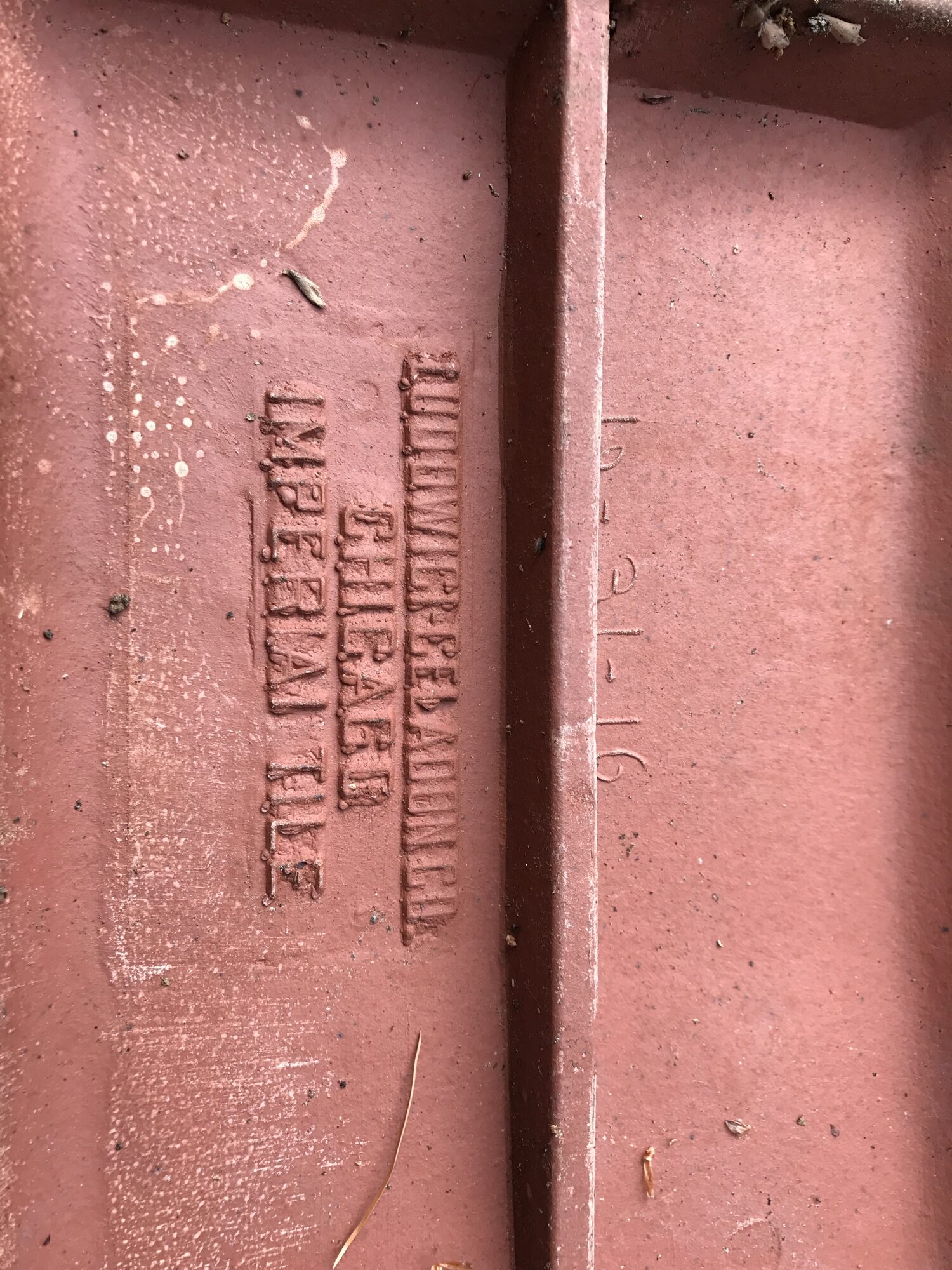 Great Neck — image 6